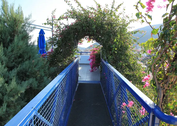 Heliotopos טולון